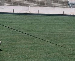 Cheap 😍 Blazer Quick Explode Sled Football Trainer Football Equipment 🔥