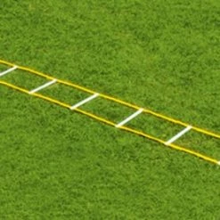 Top 10 👏 Fisher Athletic Fisher 12' Single Speed Ladder Youth, Adult Football Equipment 🎉